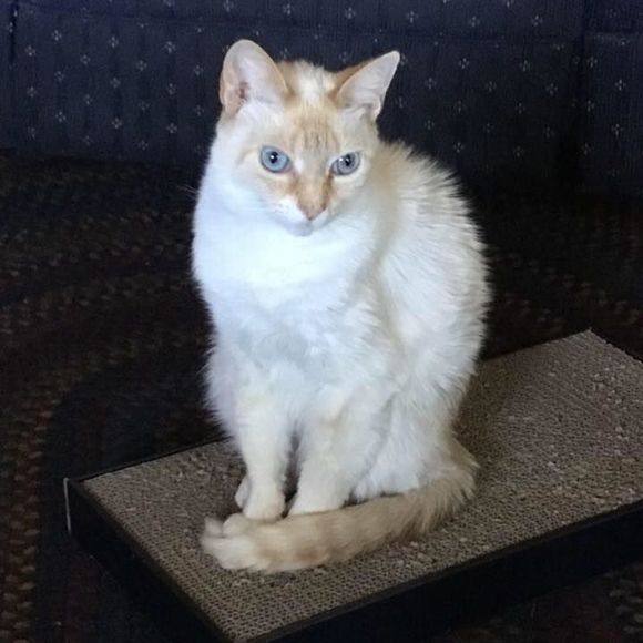 Meet your Posher, Jan - Picture 1 of 1